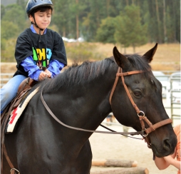 Corsi di equitazione per bambini a Palermo