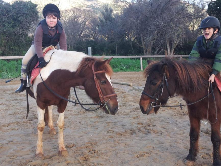 Scuola Pony