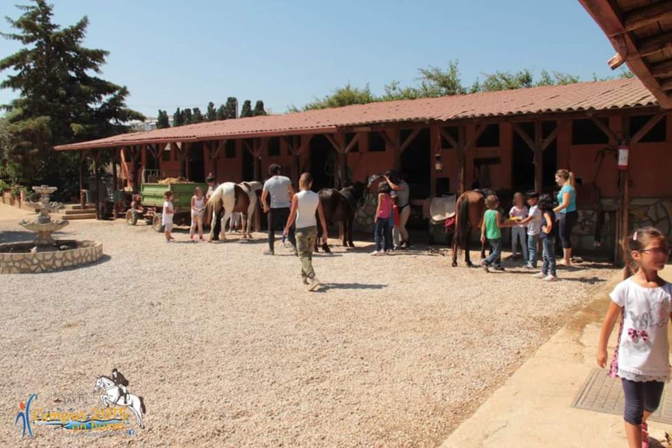 Campus 2015 on horse