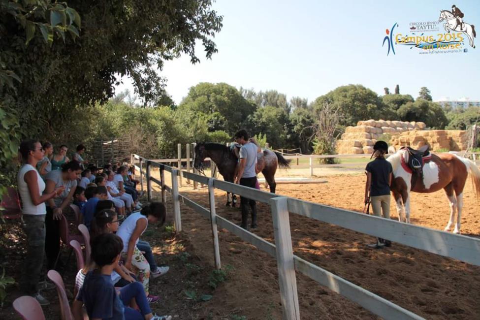 Campus 2015 on horse