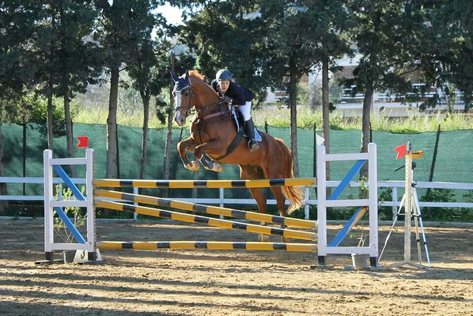 Scatti di varie gare degli allievi del circolo ippico taytu