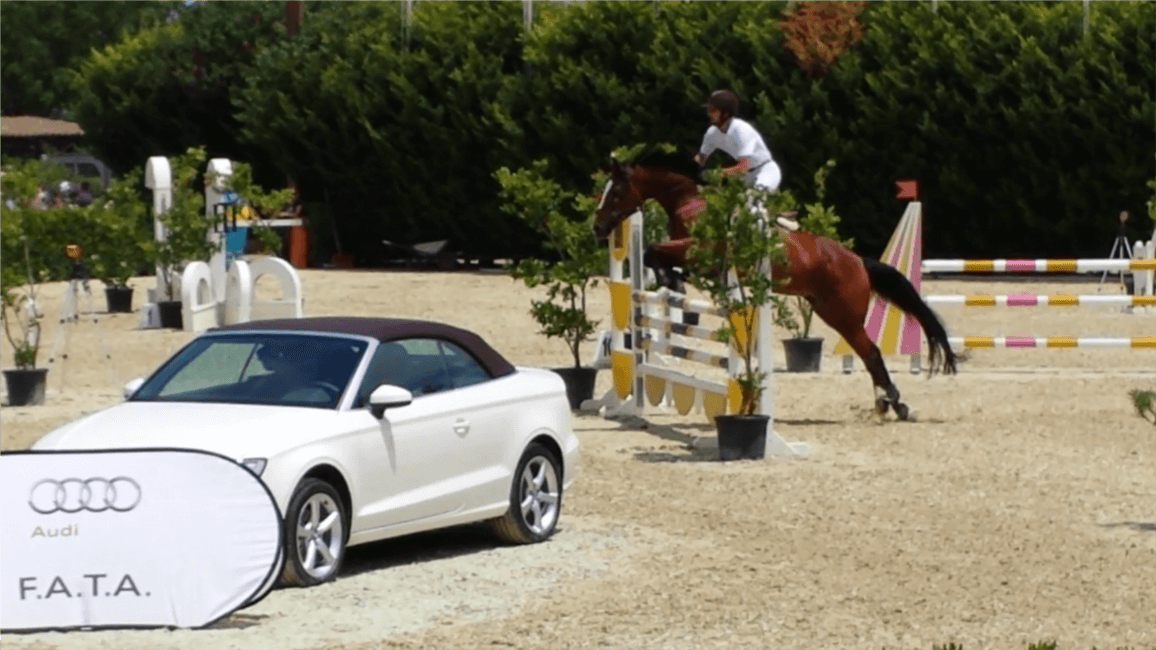 Campionati regionali 2014 adim