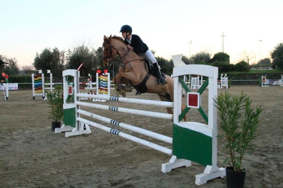 Foto cavallo in vendita