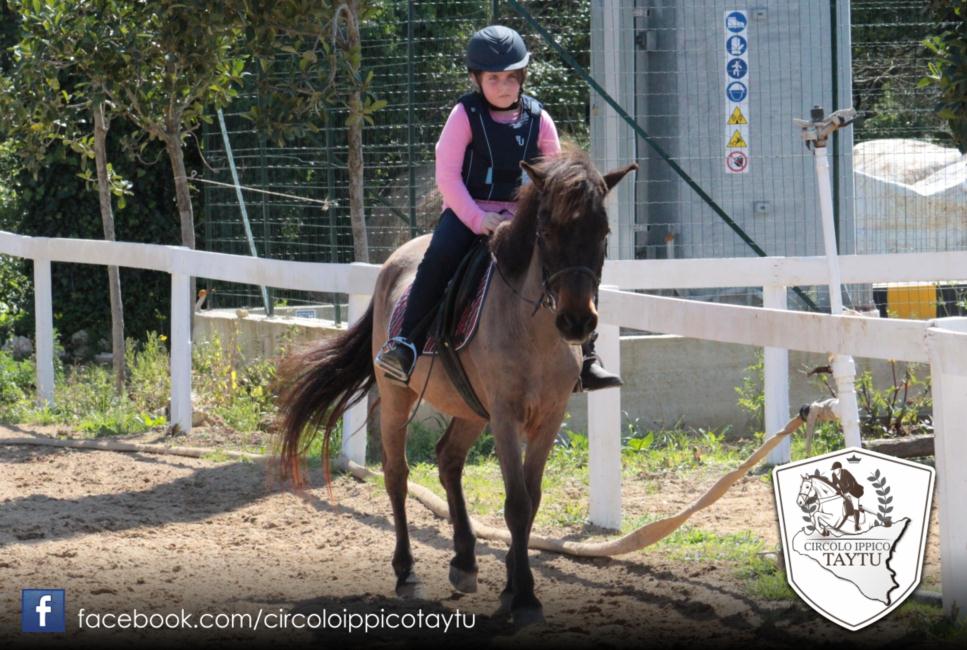 Scuola Pony